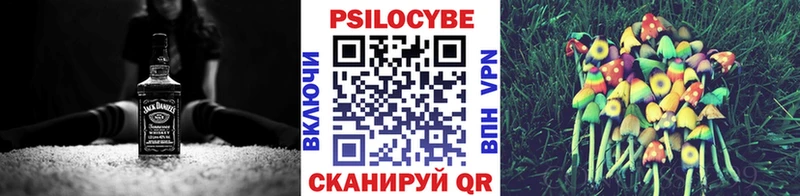 МЕГА маркетплейс  Ростов  Псилоцибиновые грибы Cubensis 